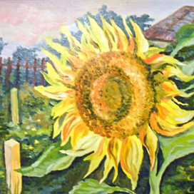 Подсолнушек