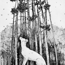 серия"когда снег начнется"