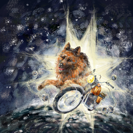 Рыжий пес Иж