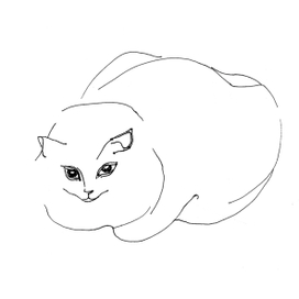 Глаза кошки