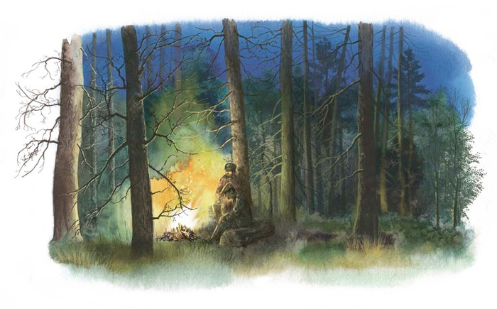 Ночной костёр