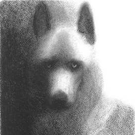 «Маугли» Акела