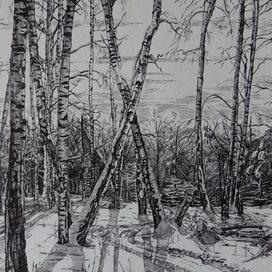 зима в климовском лесу