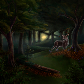 Туманный лес