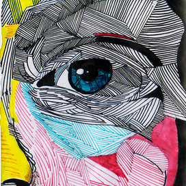 Линии портрета