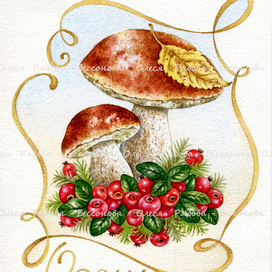 " Грибочки ".