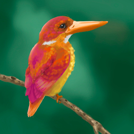 Осенние мотивы