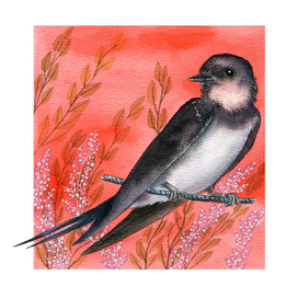 Ласточка акварель