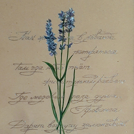 поэтическая лаванда