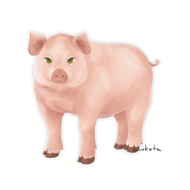 Иллюстрация свинки