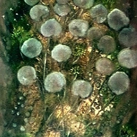 '' унесенные ветром ''