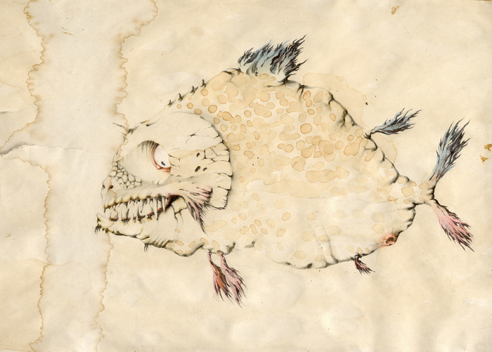 Чайная рыбка