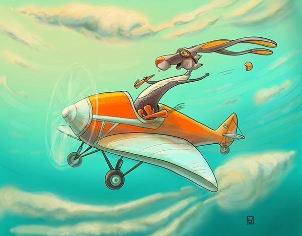 Покоритель неба