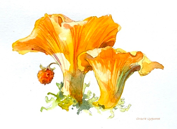 “Березовый пирожок» Юрий Коваль (концовка)