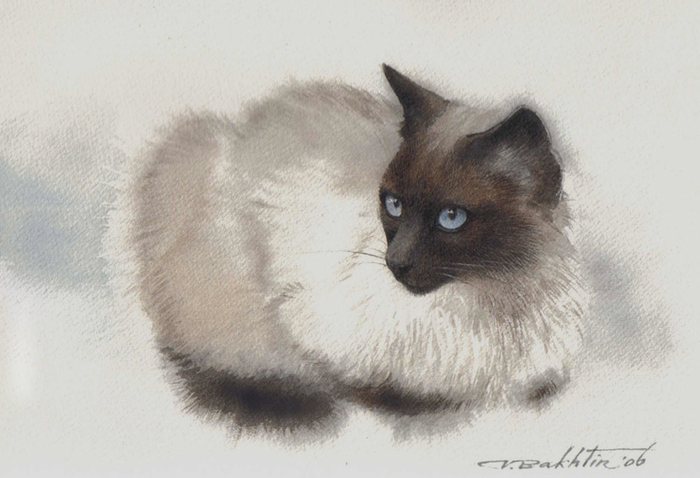 Юная сиамистка