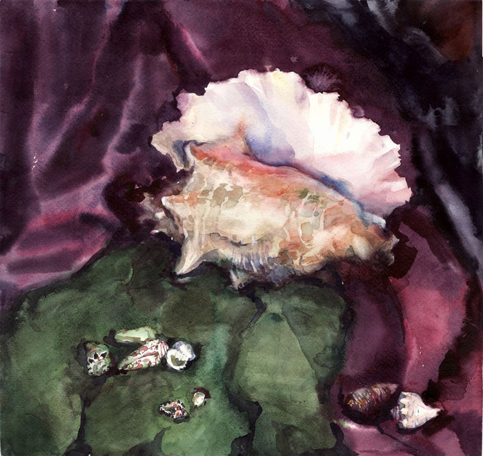 Память моря