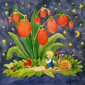 Ночное путешествие 