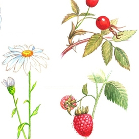 Для учебника