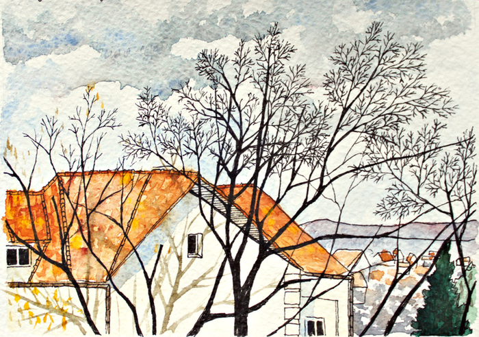 вид из окна университета