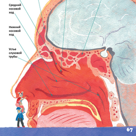 Ольга Епифанова «Детям про тело» 2018 г.