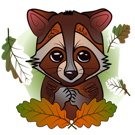 Raccoon