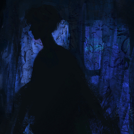 полеты во сне и наяву