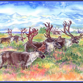 ."Северные олени в осенней тундре". Бумага, акварель по-сырому. 50х70см, $1000