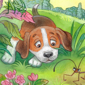 иллюстрации к книге