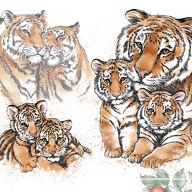 Тигриная семья