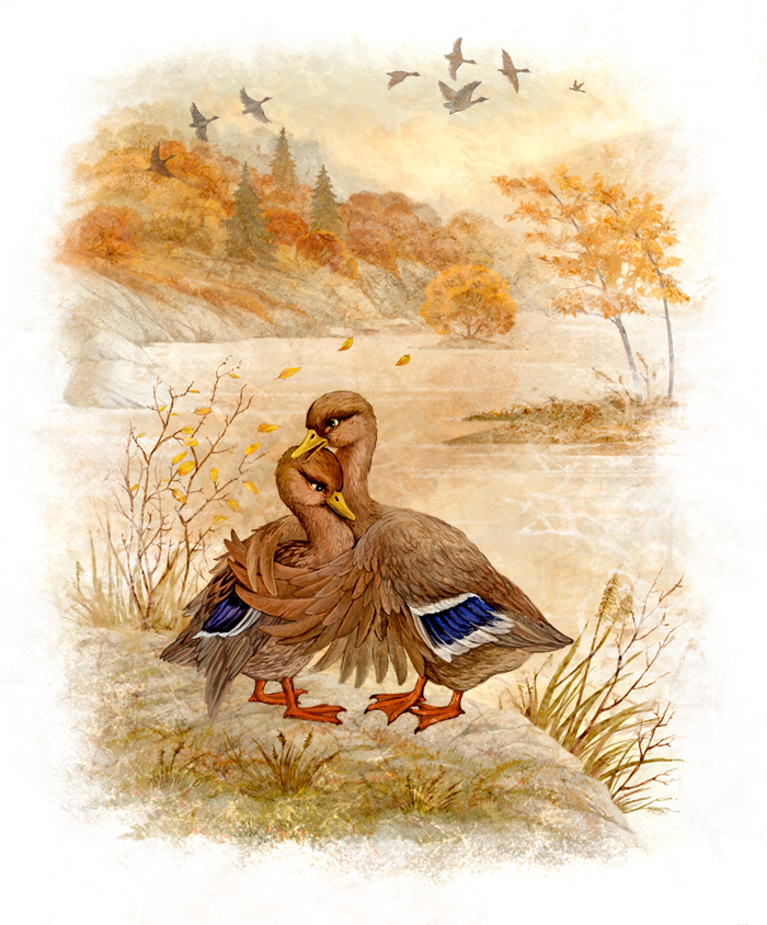 Старая утка и Серая Шейка