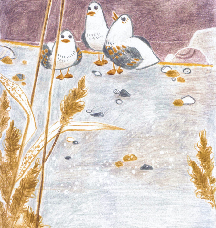 Сезон охоты