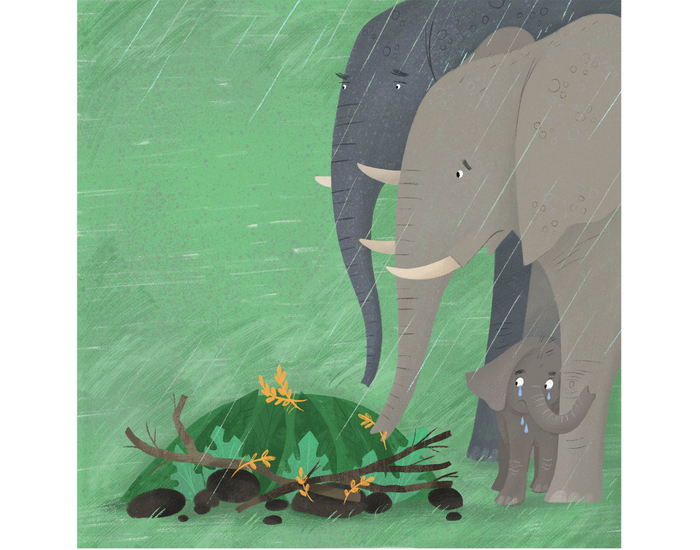 Суперзверята. Слоновьи похороны