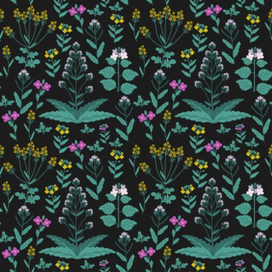 Семейство Капустные