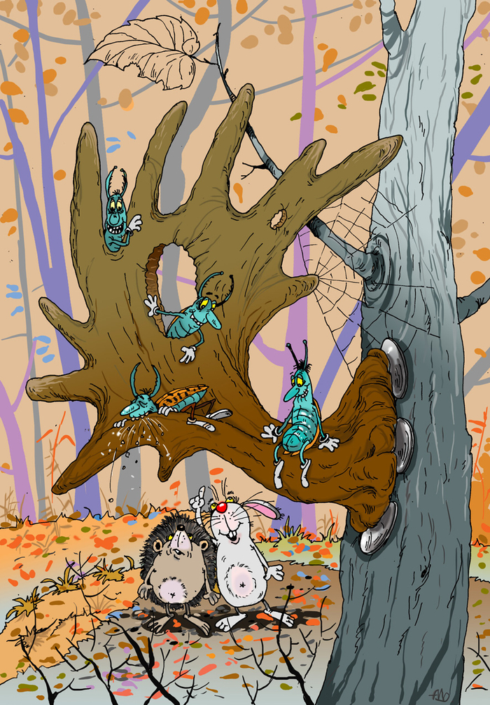 Опять "Неправильный лес"