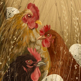 Эти прекрасные курицы!!!