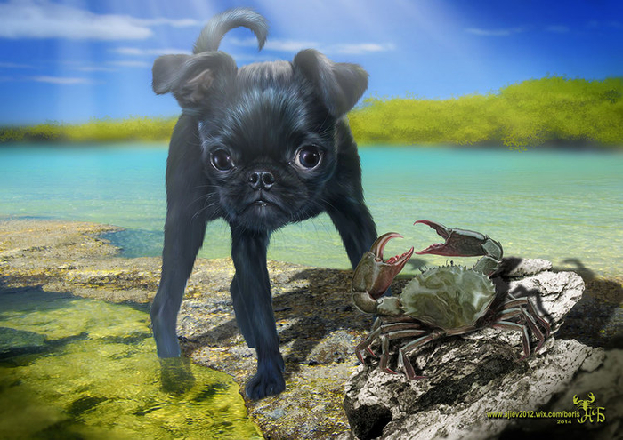 "МОРСКОЙ волк!"...)))