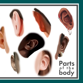 Ears. Parts of the body