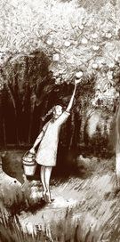 сбор урожая