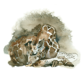 Сладкие сны