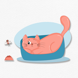 Кот мандарин