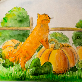 Приключения кота Рыжа. Урожай