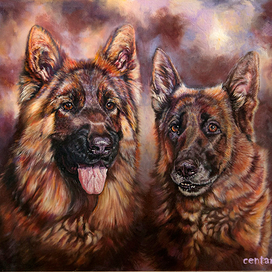 Швальбеннест Елангер и Нимфа Великолепная.