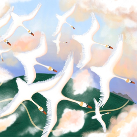 Иллюстрация к сказке Х.К. Андерсена "Дикие лебеди"