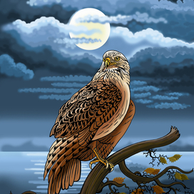 Ночная птица