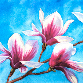 Магнолии