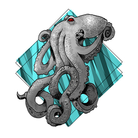 Octopus