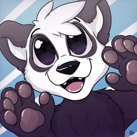 Панда Пако! 