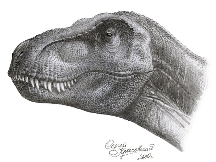 Tyrannosaurus rex (динозавр)