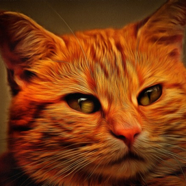 Рыжий кот спит( рисунок по фото)