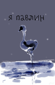 Иллюстрация для соцсетей 